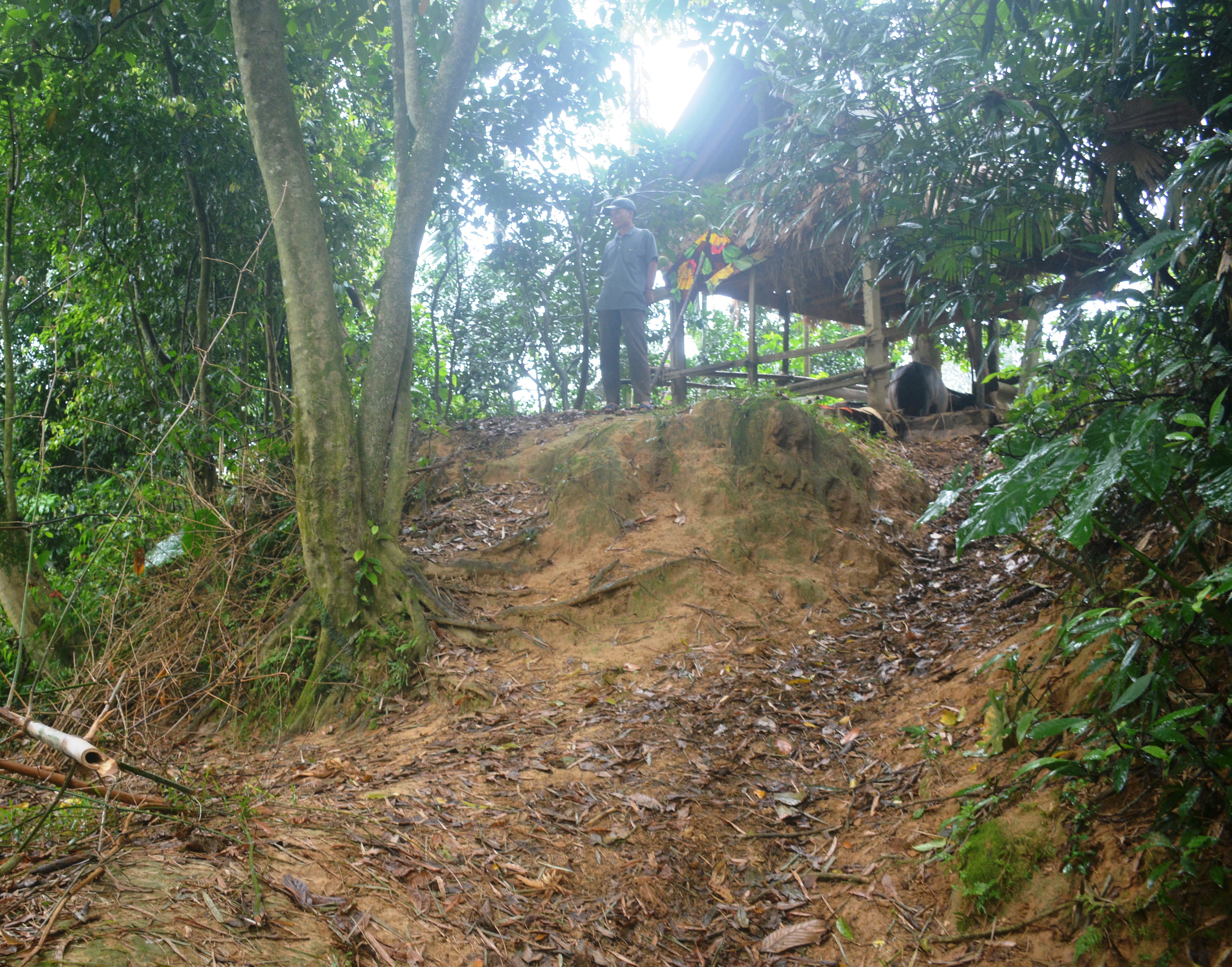 Cần triển khai nhanh dự án kè chống sạt, lở bờ sông Ngàn Sâu